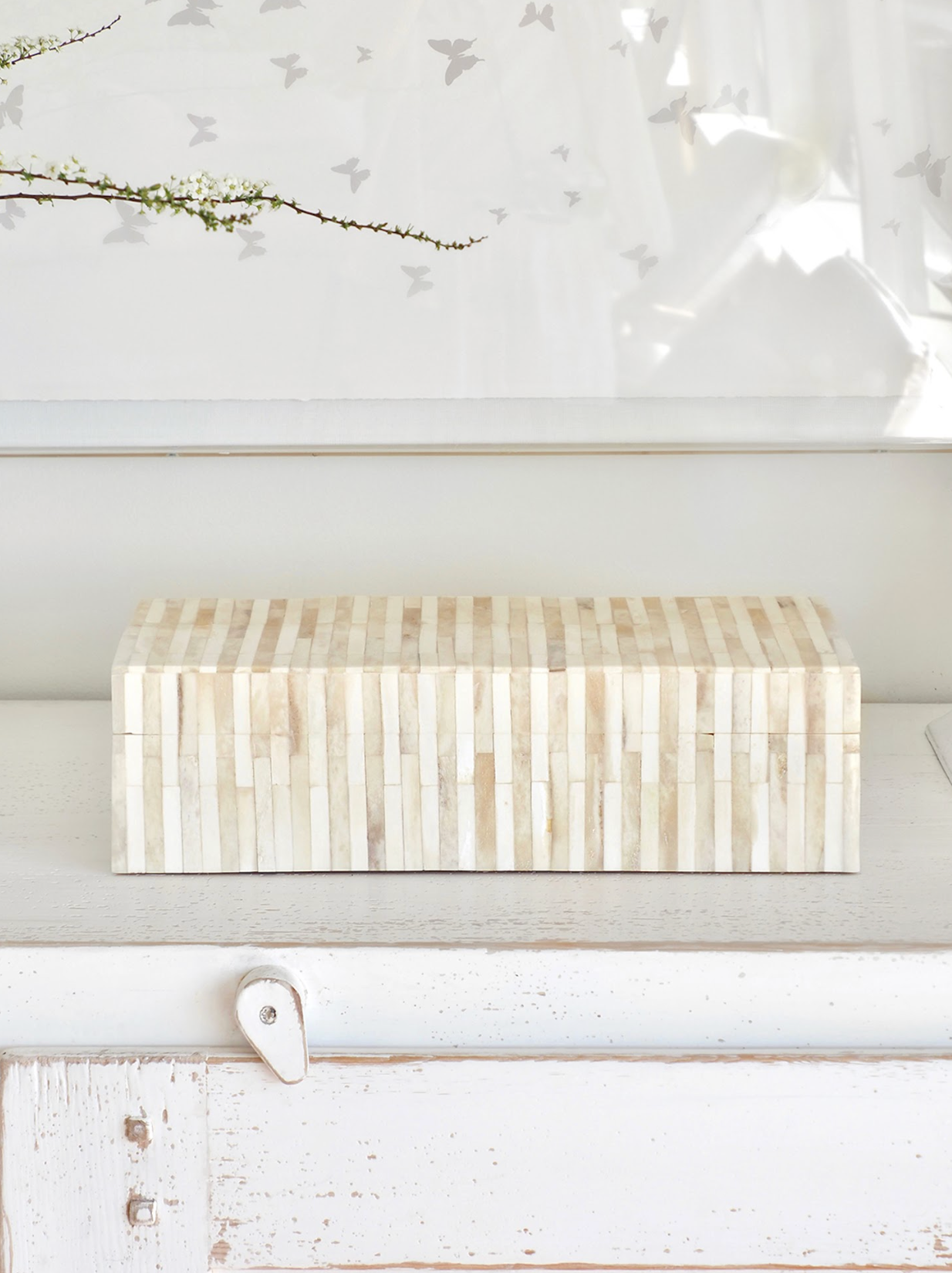 Bone Box