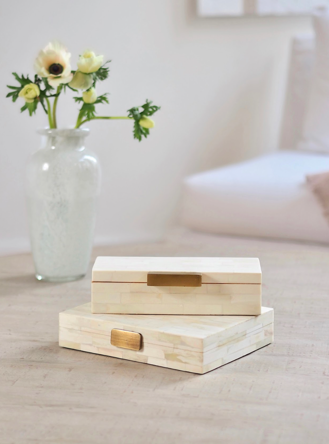 Bone Box w Handle