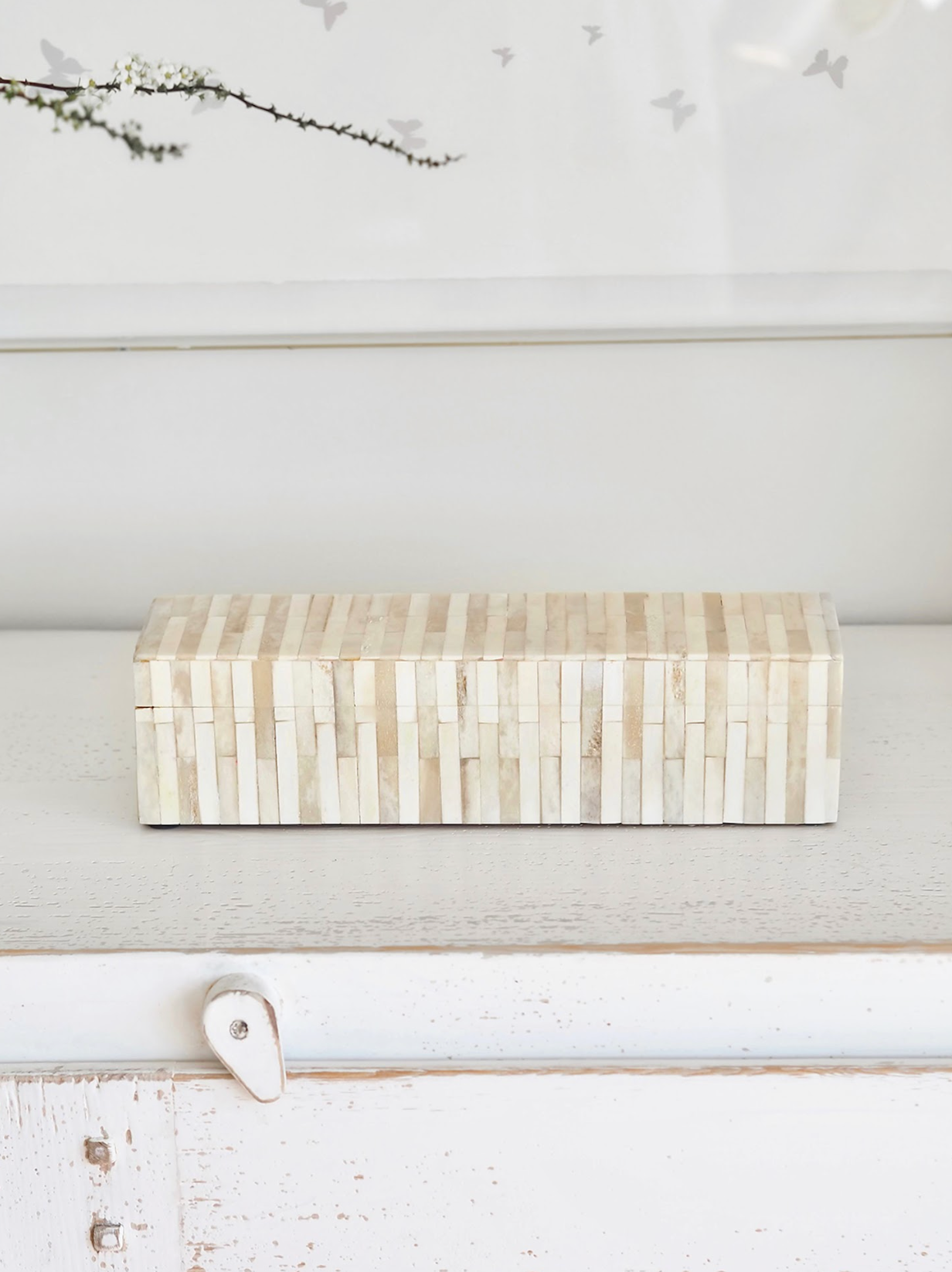 Bone Box