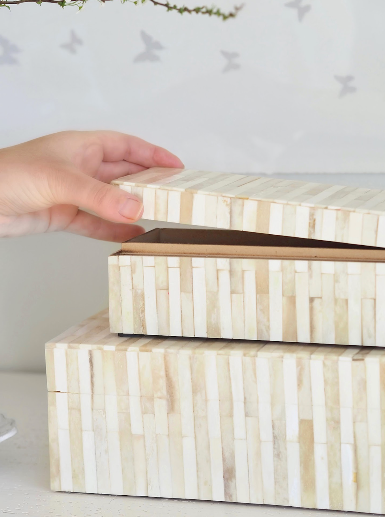 Bone Box
